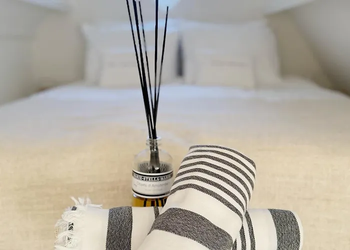 Elsk 잔드보르트