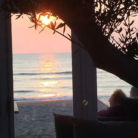 Elsk زاندفورت