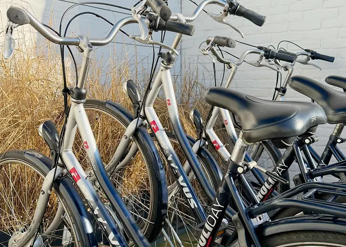 Elsk 公寓 赞德沃特